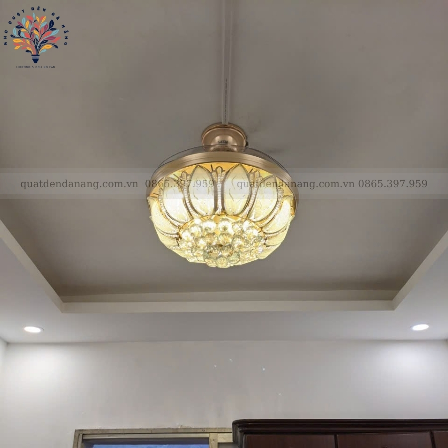 Quạt Cụp Xòe Cánh Sen