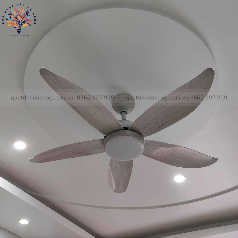 Quạt Trần Đèn 5 Cánh Cong
