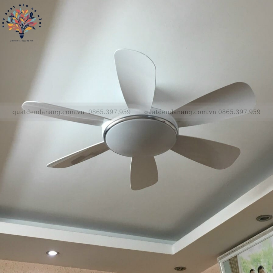 Quạt Trần Đèn 6 Cánh 360
