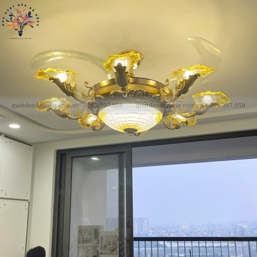 Quạt Cụp Xòe Hoàng Gia